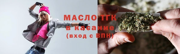 стаф Бородино