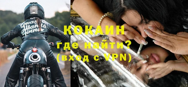 стаф Бородино
